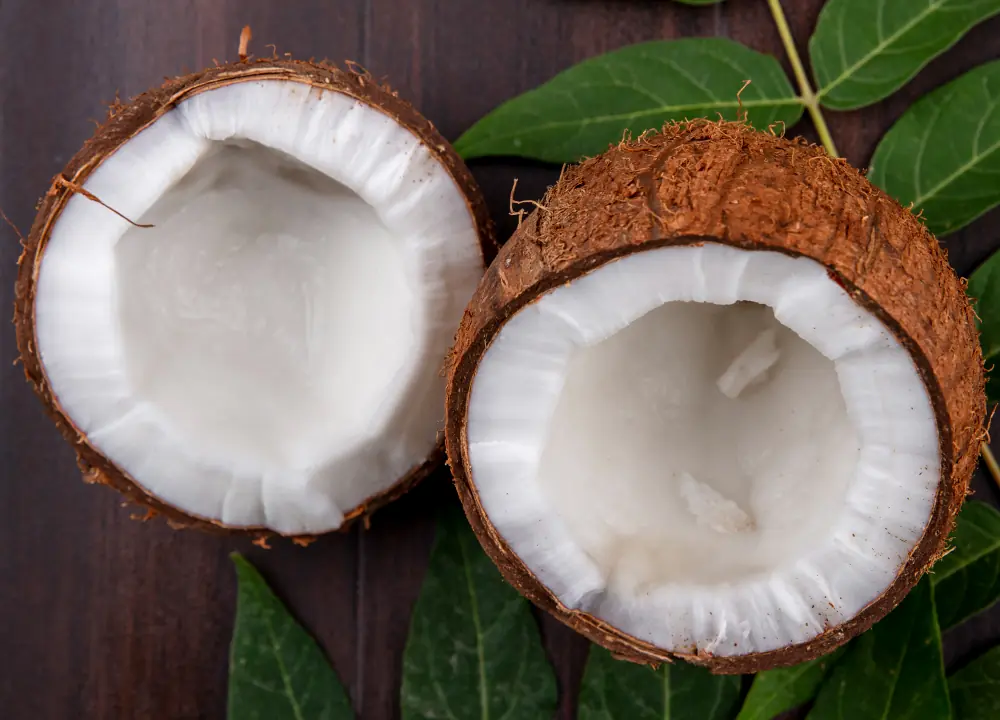Coco seco para exportação