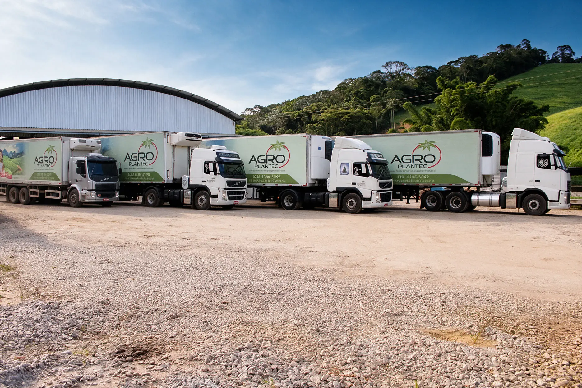 Frota de carretas Agroplantec enfileirada no pátio do packing house