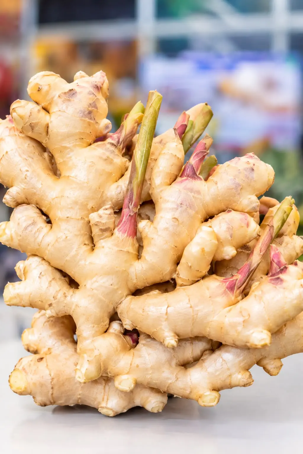Ginger rhizome in the foreground, with sprouts and golden color
