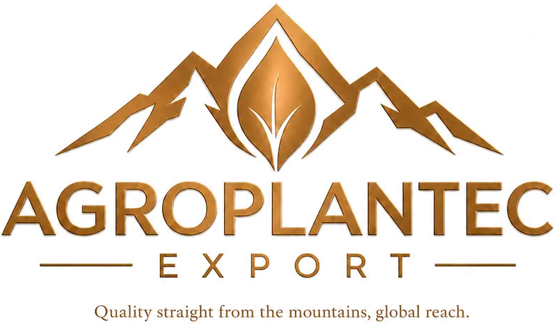 Agroplantec Export — Quality straight from the mountains, global reach.