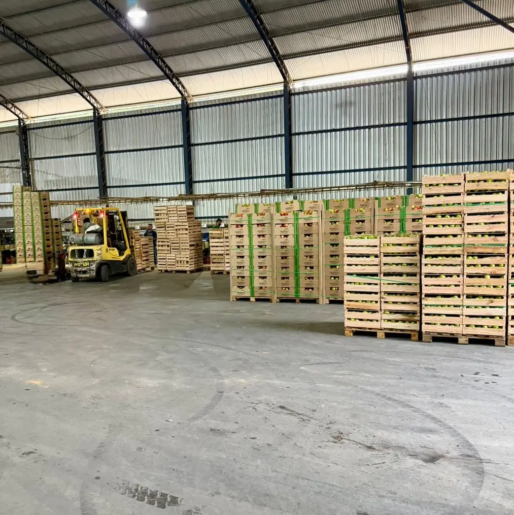 Agroplantec fleet being loaded